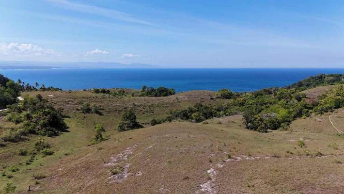 Indonesi� ~ Sumba - Grond