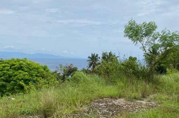 Indonesi� ~ Sumba - Grond