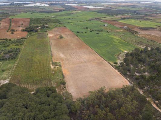 Spanje ~ Andalusi� ~ Huelva ~ Kust - (Woon)boerderij Finca