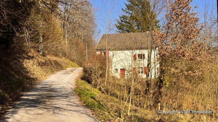 Frankrijk ~ Lorraine ~ 88 - Vogezen - Maison en pierre