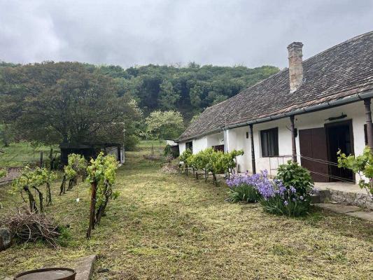 Hongarije ~ Zuid - P�cs en Vill�ny ~ Tolna (Szeksz�rd) - Landhuis