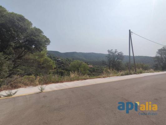 Spanje ~ Cataloni� ~ Girona ~ Costa Brava ~ Kust - Bouwgrond