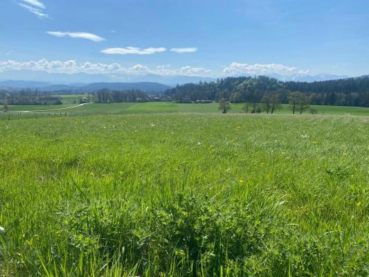 Bouwgrond te koop in Oostenrijk - Karinthië - Maltschach - See - € 225.400