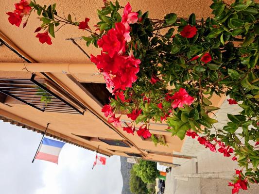 Spanje ~ Valencia (Regio) ~ Alicante (prov.) - B & B / Pension
