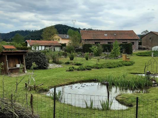 Frankrijk ~ Lorraine ~ 88 - Vogezen - (Woon)boerderij
