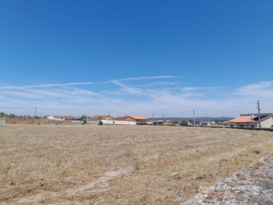 Portugal ~ Leiria - Grond