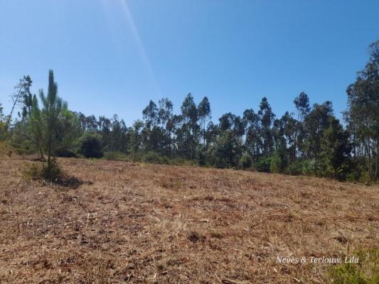 Portugal ~ Leiria - Terreno