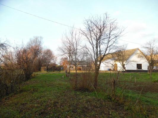 Hongarije ~ West en Balatonmeer ~ Balaton - Woonhuis
