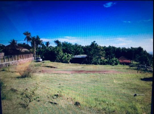 Indonesië ~ Bali - Grond