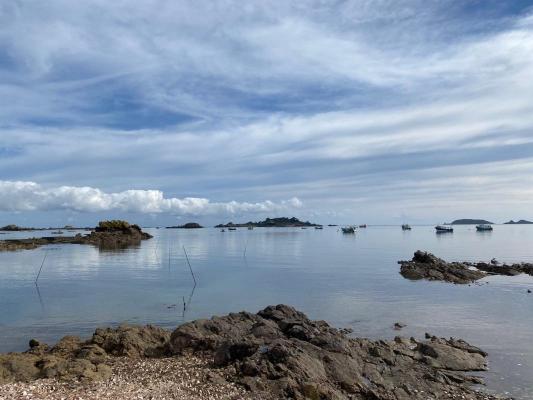 Frankrijk ~ Bretagne ~ 22 - Côtes-d`Armor - B & B / Pension