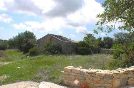 Portugal ~ Algarve - Faro ~ So Brs de Alportel - Bouwgrond