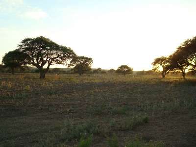 Argentina -  - La Pampa