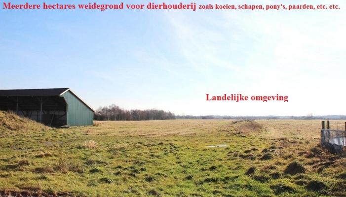 Duitsland - Nedersachsen - Ost-Friesland - Wiesmoor