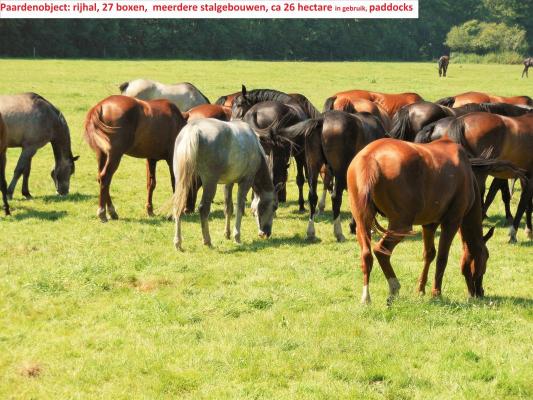 Paarden-object te koop in Duitsland - Nedersachsen - Lüneburg - Scharnebeck - € 1.700.000