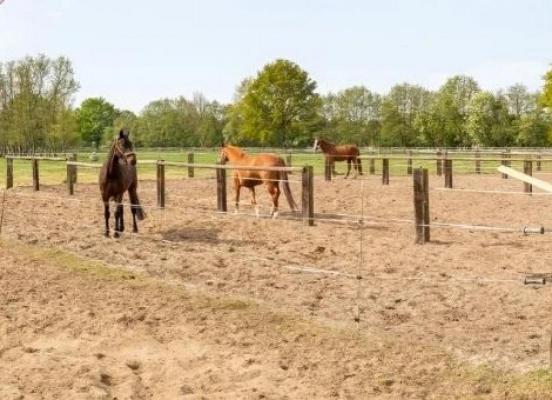 Duitsland&nbsp;-&nbsp;Nedersachsen&nbsp;-&nbsp;L�neburg&nbsp;-&nbsp;Scharnebeck