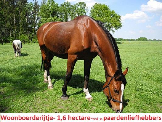 Duitsland ~ Nedersachsen ~ Ost-Friesland - (Woon)boerderij