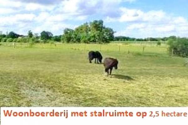 Duitsland ~ Nedersachsen ~ Ost-Friesland - (Woon)boerderij