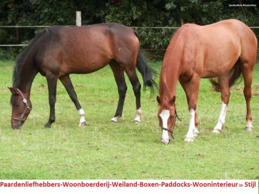 Duitsland ~ Nedersachsen ~ Ost-Friesland - (Woon)boerderij