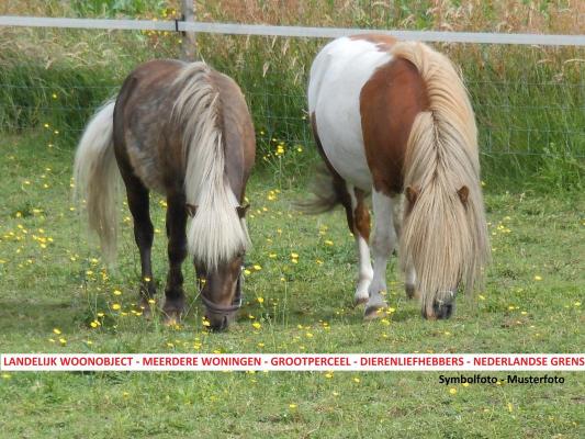 Deutschland ~ Niedersachsen ~ Ost-Friesland - Haus