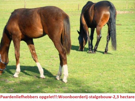 Duitsland ~ Nedersachsen ~ Emsland - (Woon)boerderij