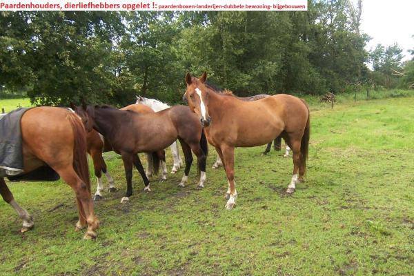 Duitsland ~ Nedersachsen ~ Ost-Friesland - (Woon)boerderij