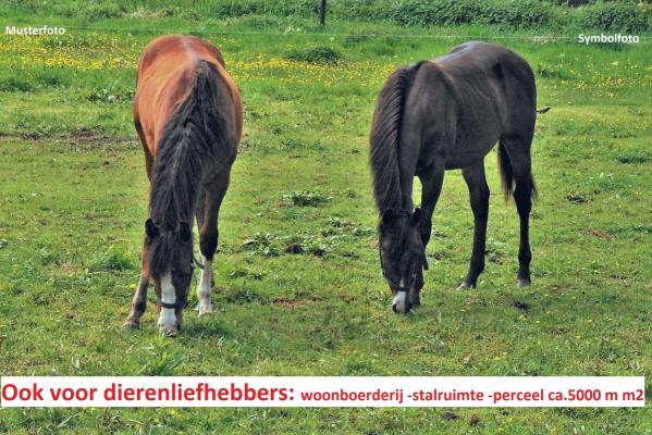 (Woon)boerderij te koop in Duitsland - Nedersachsen - Ost-Friesland - Regio Leer -  199.000