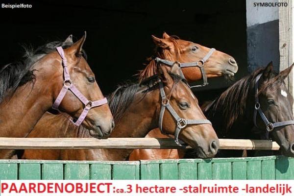 Onroerend goed bject te koop in Regio Leer - Duitsland