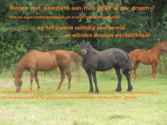 Duitsland - Nedersachsen - Ost-Friesland - Regio Leer