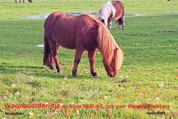 Duitsland ~ Nedersachsen ~ Ost-Friesland - (Woon)boerderij