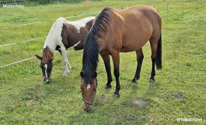 Duitsland ~ Nedersachsen ~ Ost-Friesland - Woonhuis